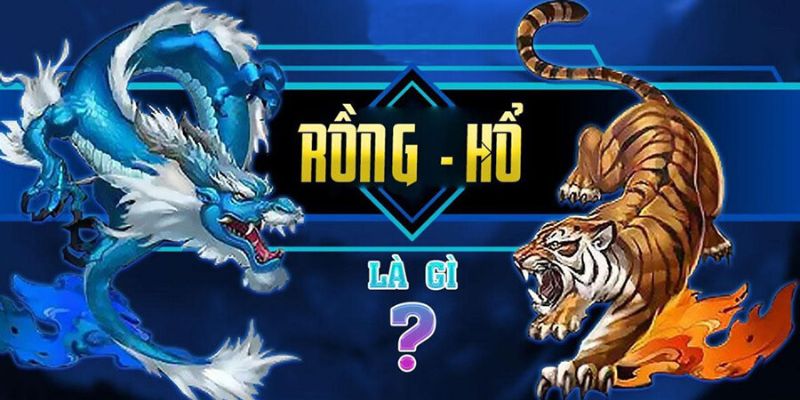 Rồng Hổ SC88 Là Gì?
